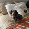 Teilor-Kaiser-Clarey-Insense-100-Bamboo-Sheets-Photo-Styled-Square-1080x1080_1